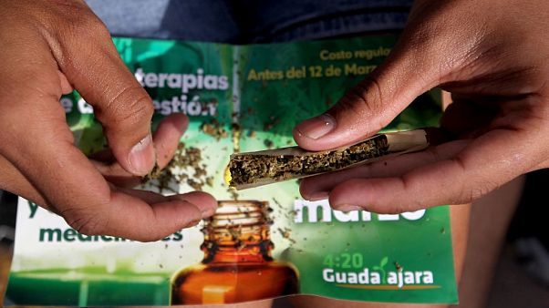 Marihuana Marihuana