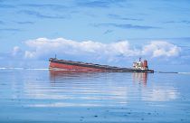 Oil leaking from the MV Wakashio, a bulk carrier ship that recently ran aground off the southeast coast of Mauritius