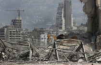 Patlamanın ardından Beyrut Limanı