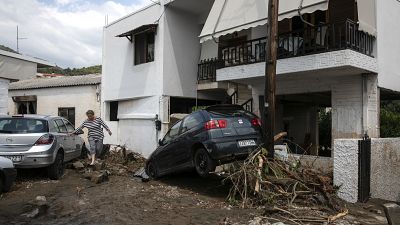 A woman walks between damaged cars following a storm at the village of Politika, on Evia island, northeast of Athens