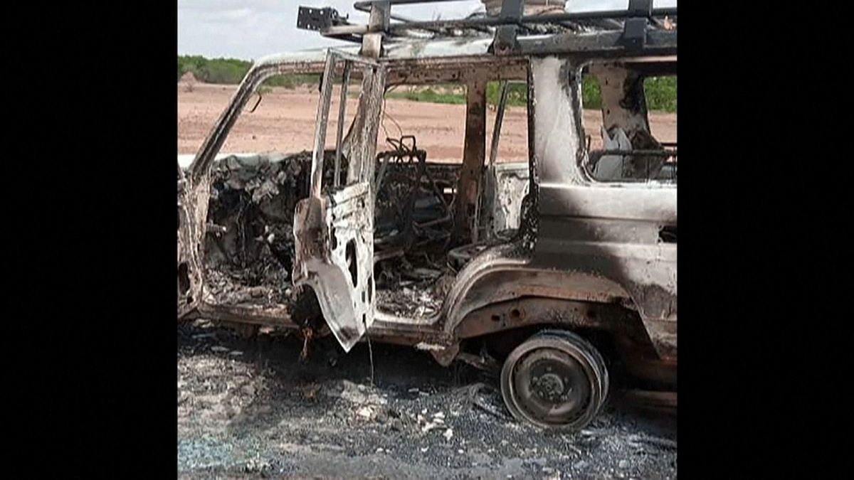 Νίγηρας: Επίθεση ενόπλων - Οκτώ νεκροί