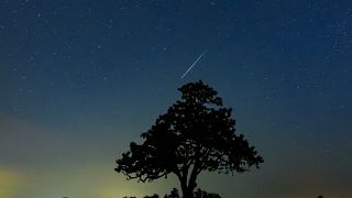 Meteor az égbolton egy fa felett Salgótarján közelében 2019. augusztus 13-ra virradóan
