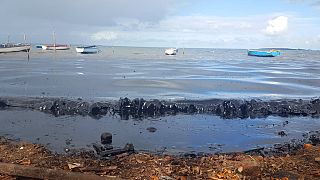 Mauritius races to clean up oil as ship leaking fuel breaks up