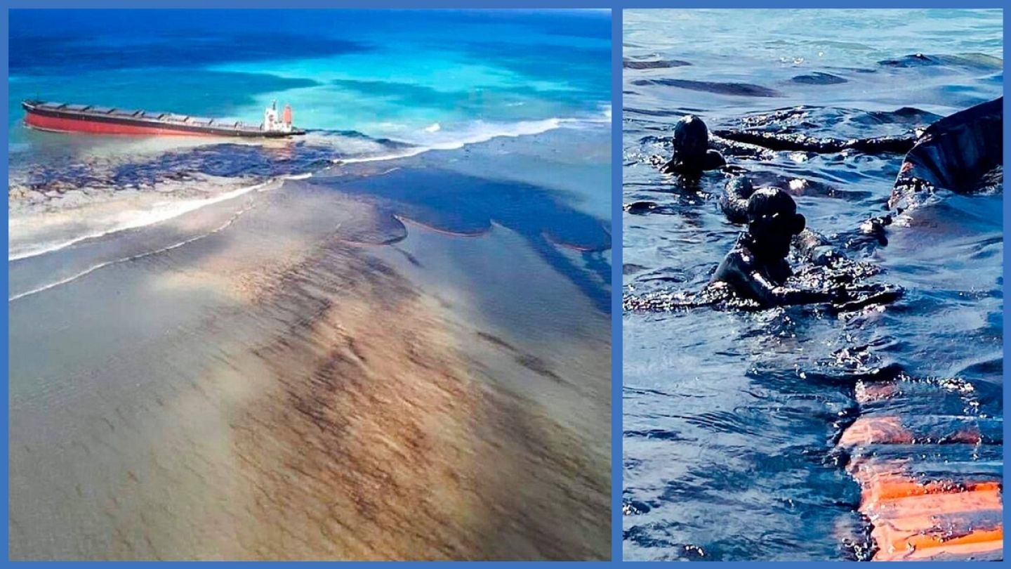 Mauritius Oil Spill Volunteers Use Hair And Stockings To Limit Damage Euronews