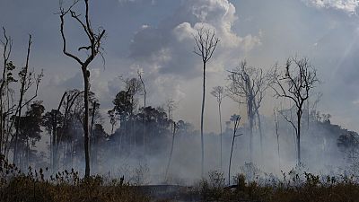 FILE: an area smolders in the Alvorada da Amazonia region in Novo Progresso, Para state, Brazil, Aug. 25, 2019.