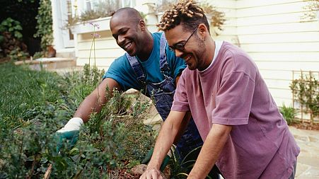 Eco-friendly men are more attractive to women