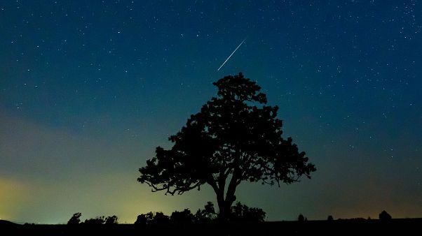 Perseid Meteor Shower Shooting Stars Set To Rain Down In Annual Spectacle Euronews