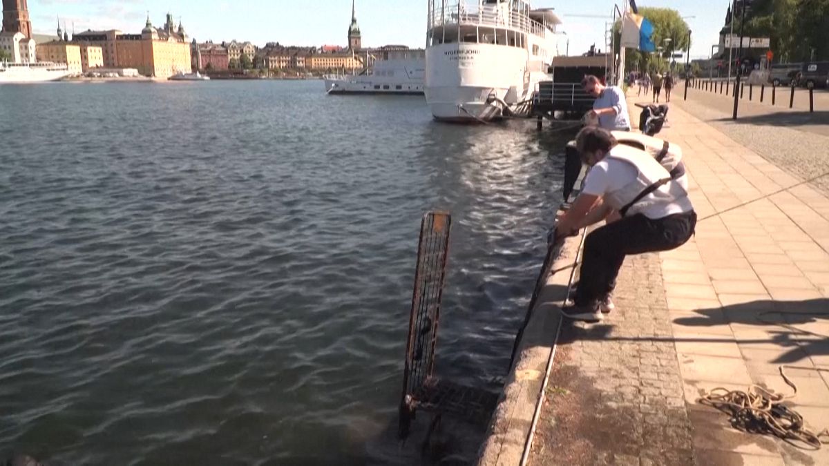 Аквалангисты-волонтёры очищают воды Стокгольма