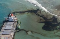 آغاز عملیات پاکسازی سواحل موریس از آلودگی ناشی از دو نیم شدن شناور ژاپنی