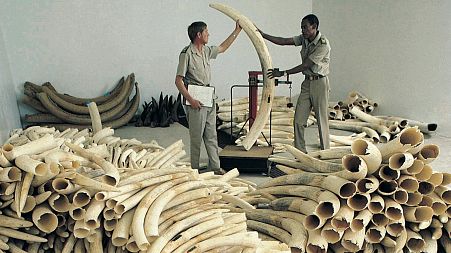 Illegal ivory trade