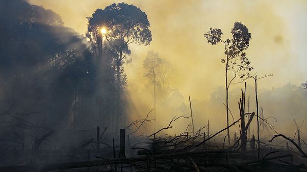 Zona incendiada na Amazónia Zona incendiada na Amazónia