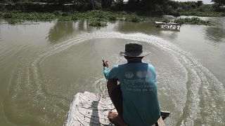 A fisherman casts his net into the Boeung Thom lake on the outskirts of Phnom Penh, Cambodia, Tuesday, Aug. 11, 2020.