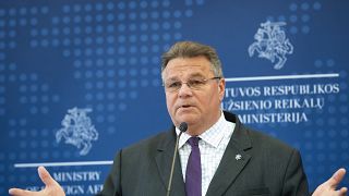 Lithuania's Minister of Foreign Affairs Linas Linkevicius  in Vilnius, Lithuania on August 11, 2020.