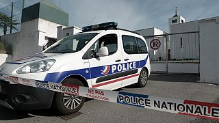 Fransız polisi (Arşiv)