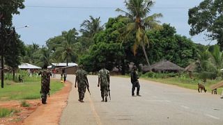 Crisis Expert Analyses Mozambique Jihadist Terrorist Situation
