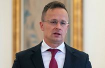 Hungarian Foreign Minister Peter Szijjarto issued the call on Thursday in a Facebook post.