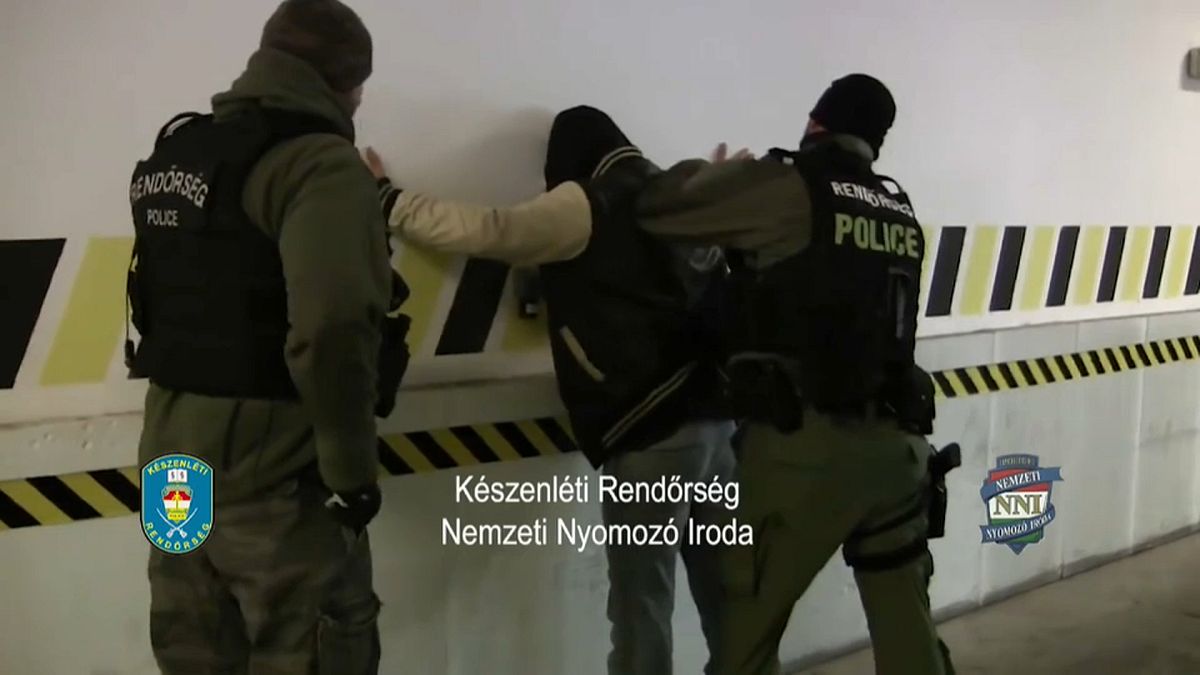 Арест перевозчиков нелегальных мигрантов на венгерской границе