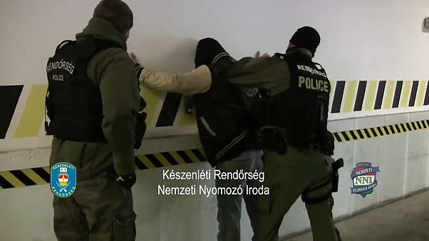 Арест перевозчиков нелегальных мигрантов на венгерской границе Арест перевозчиков нелегальных мигрантов на венгерской границе