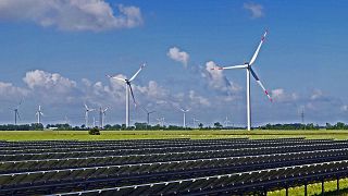 Wind and solar generated 10% of the world's energy in the first half of 2020.