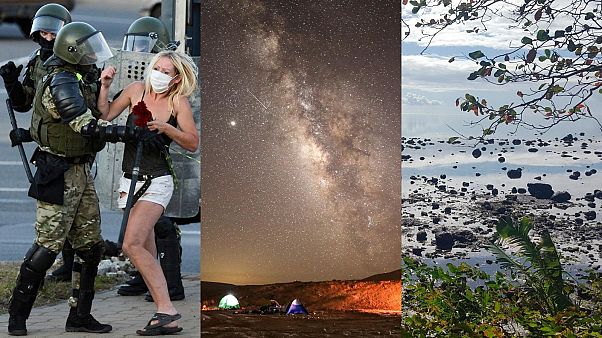 A combination of images featuring this week’s news stories A combination of images featuring this week’s news stories