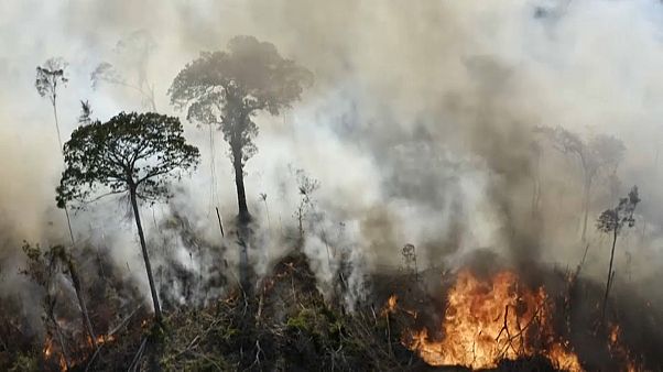 Incêndio na Amazónia Incêndio na Amazónia
