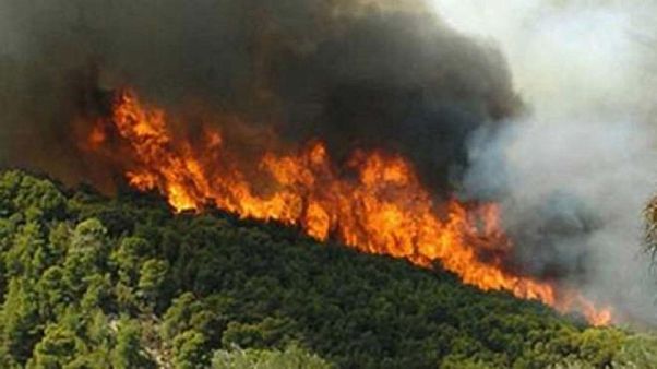 Φωτιά στην Κέρκυρα Φωτιά στην Κέρκυρα