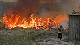 An elderly farmer who set fire to an area of the rainforest around his property walks away as the fire approaches his house in an area of Amazon rainforest, in Para state