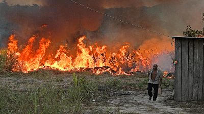 An elderly farmer who set fire to an area of the rainforest around his property walks away as the fire approaches his house in an area of Amazon rainforest, in Para state