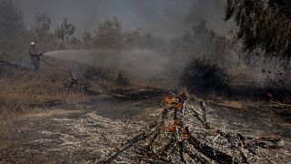 محاولة إخماد حريق ناجم عن بالون حارق أطلق من قطاع غزة على الجانب الإسرائيلي من الحدود، الأحد 16 أغسطس 2020