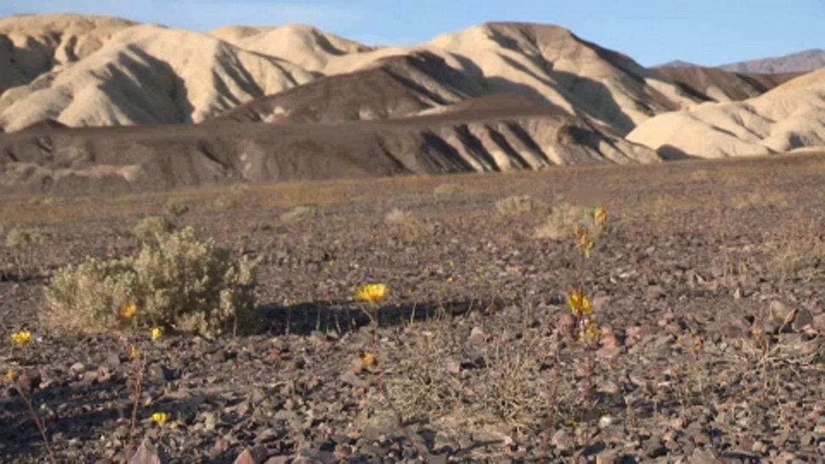 Temperatura no Vale da Morte atinge máximos