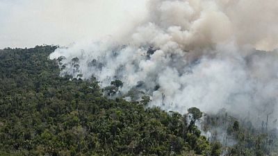 Incendie à Novo Progresso, une municipalité brésilienne située dans l'État du Pará