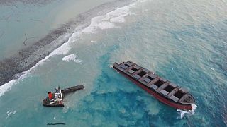 Mauritius arrests captain of ship that spilled oil