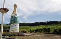 Champagne houses estimates that the COVID-19 crisis will account for a loss of about 100 million of bottles in sales