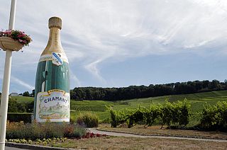 Champagne houses estimates that the COVID-19 crisis will account for a loss of about 100 million of bottles in sales
