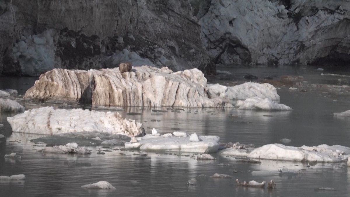 Grönland'da yaşanan buzul erimelerinin artık telafisi yok