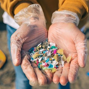 Human organs can absorb microplastics, say scientists