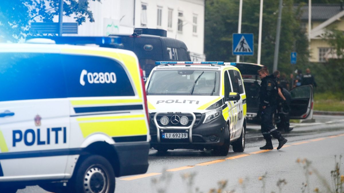 Norveç polisi