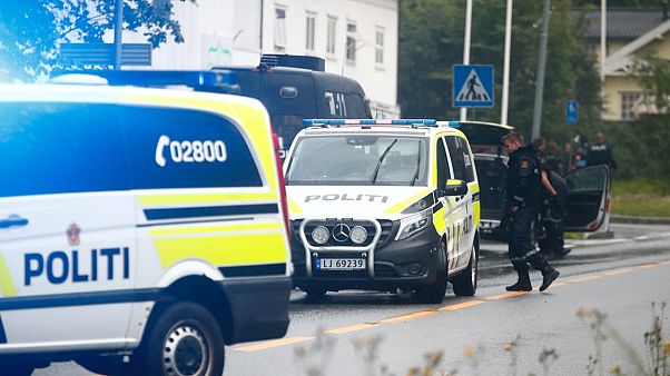 Norveç polisi Norveç polisi