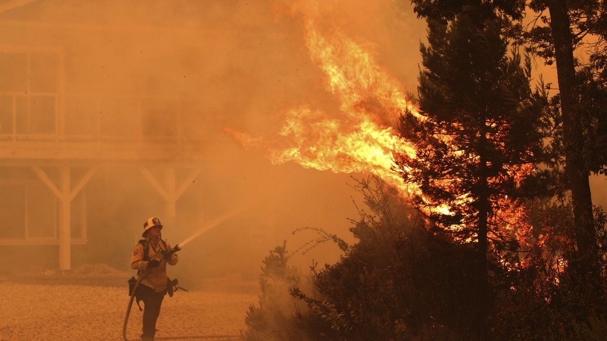 Waldbrände in Kalifornien - Tausende fliehen vor den Flammen 