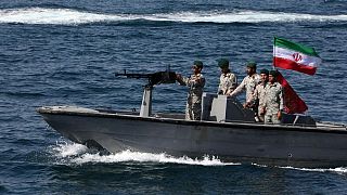 یگان‌های دریایی ایران در خلیج فارس