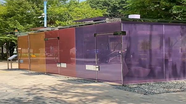مراحيض زجاجية شفافة وملونة للاستخدام في طوكيو مراحيض زجاجية شفافة وملونة للاستخدام في طوكيو