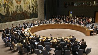 BM Güvenlik Konseyi (2015)