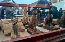 Antik Mısır'da mumyalanan 3 hayvan incelendi