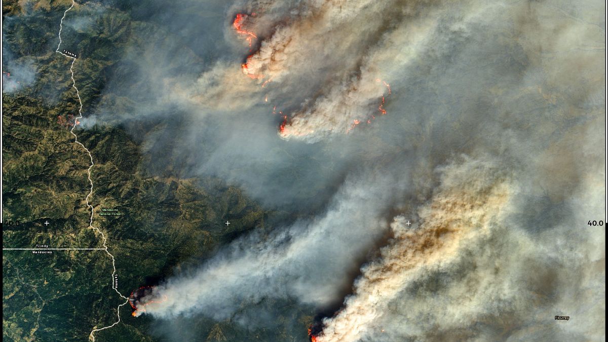 Vista de los incendios por satélite este 20 de agosto 