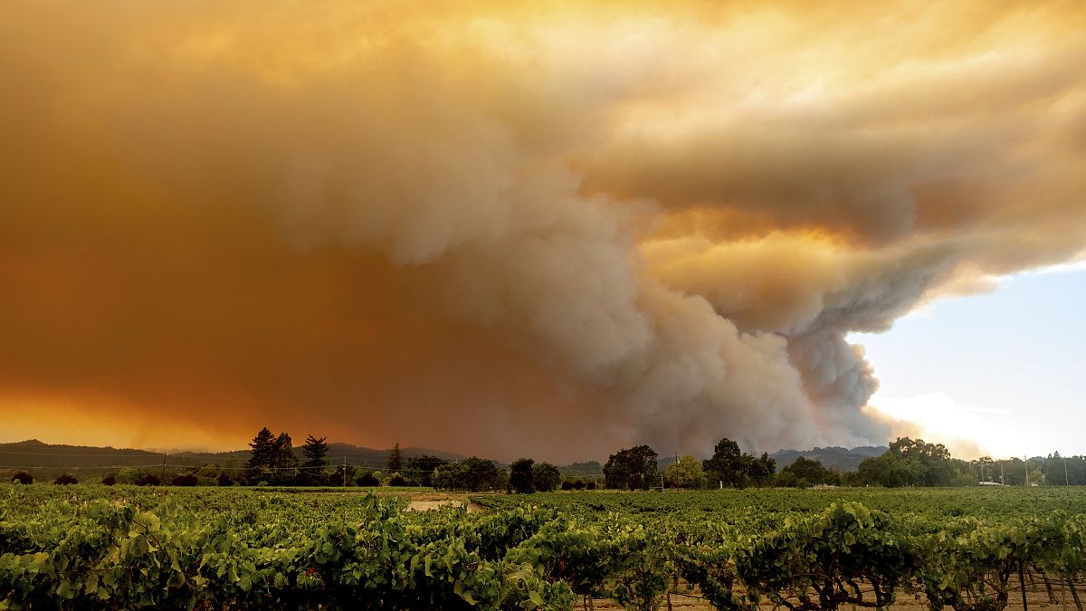 تصاویری از آتش‌سوزی‌های پراکنده و مهیب ایالت کالیفرنیا