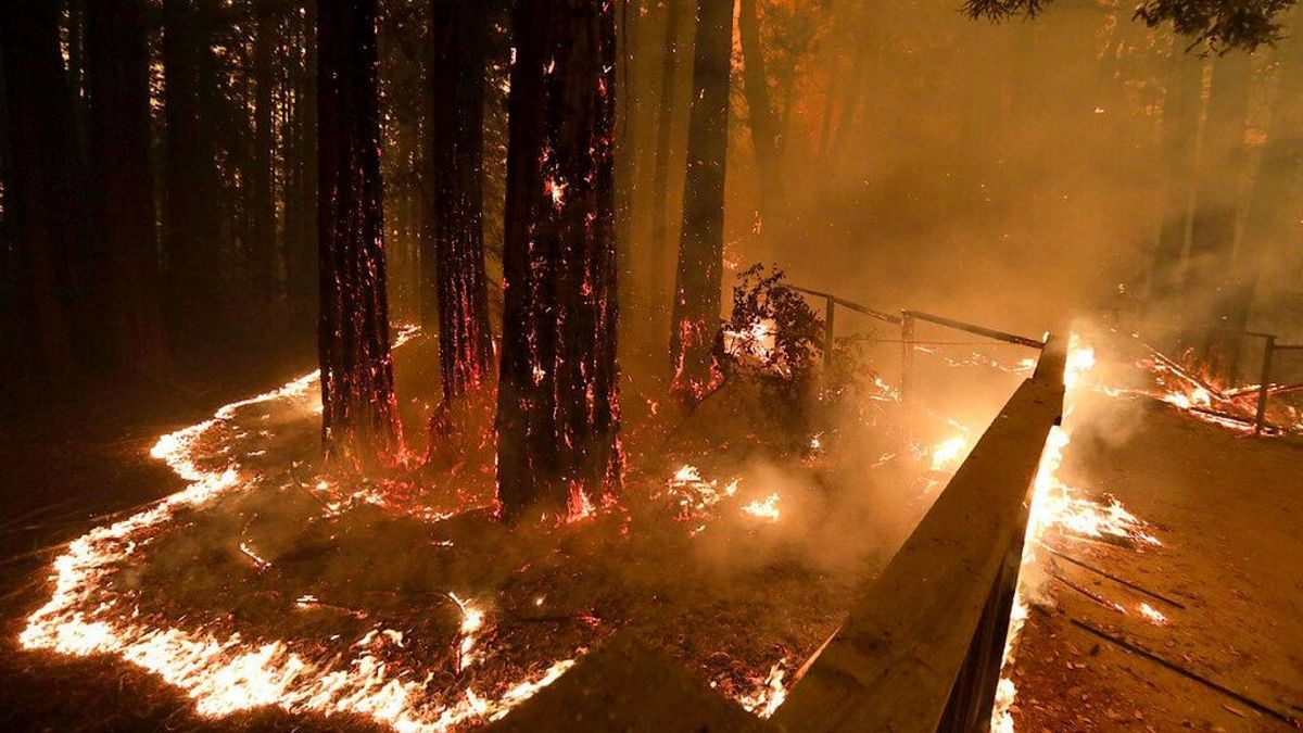 آتش‌سوزی جنگلی در کالیفرنیا