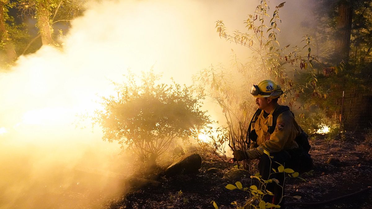 Kaliforniya'da orman yangını