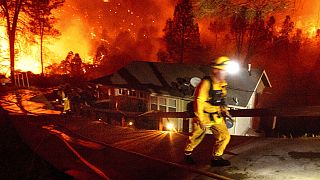 California recibe ayuda federal para combatir los masivos incendios forestales