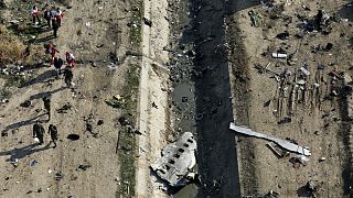 Rescue workers search the scene where a Ukrainian plane crashed in Shahedshahr, southwest of the capital Tehran, Iran