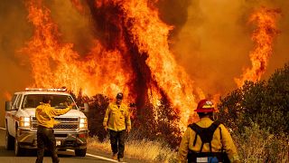 Firefighters fight the blaze in Lake County, California
